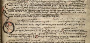 Read more about the article Irish Manuscripts: Bretha Nemed –The Judgements of the Privileged Classes