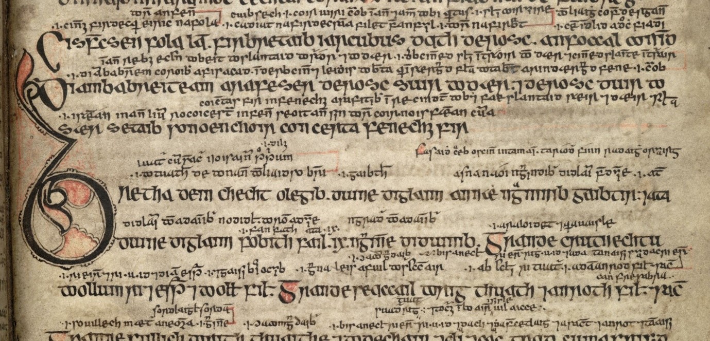 Read more about the article Irish Manuscripts: Bretha Nemed –The Judgements of the Privileged Classes