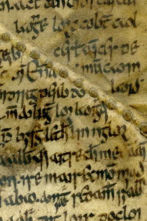 You are currently viewing Irish Manuscripts: The Book of Aicill