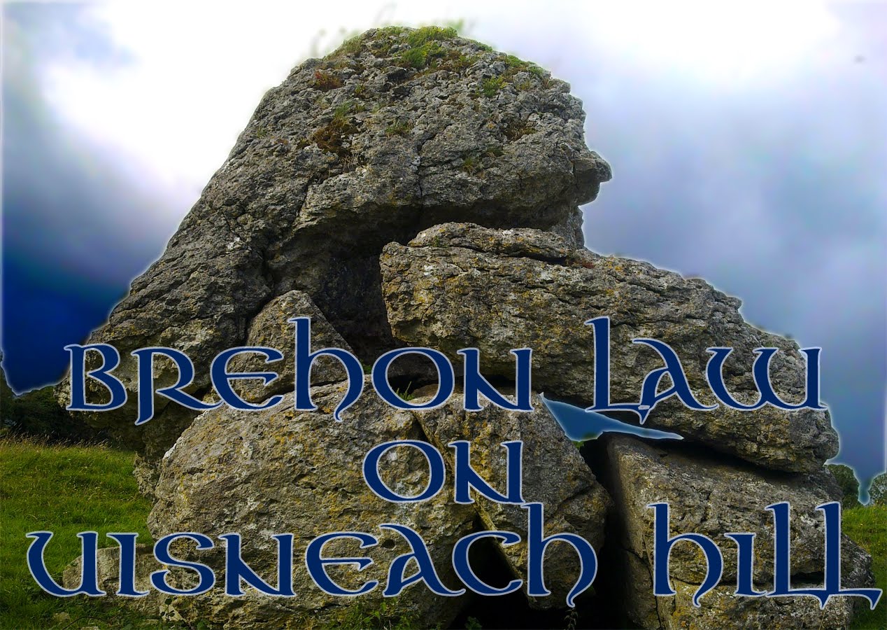 You are currently viewing Brehon Law on Uisneach Hill