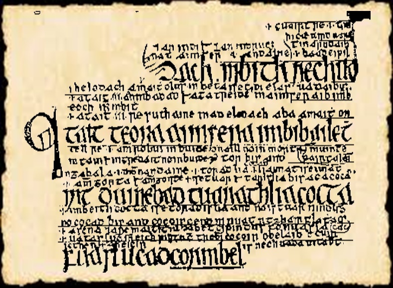 You are currently viewing Irish Manuscripts: The Senchus Mór