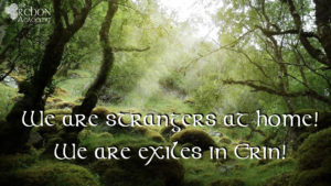 Read more about the article We Are Strangers At Home! We Are Exiles in Erin!