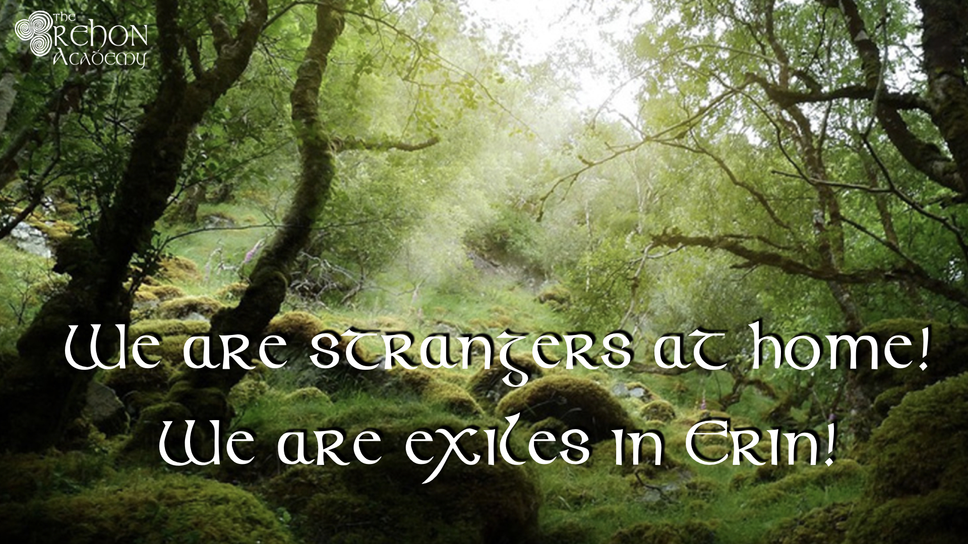 You are currently viewing We Are Strangers At Home! We Are Exiles in Erin!
