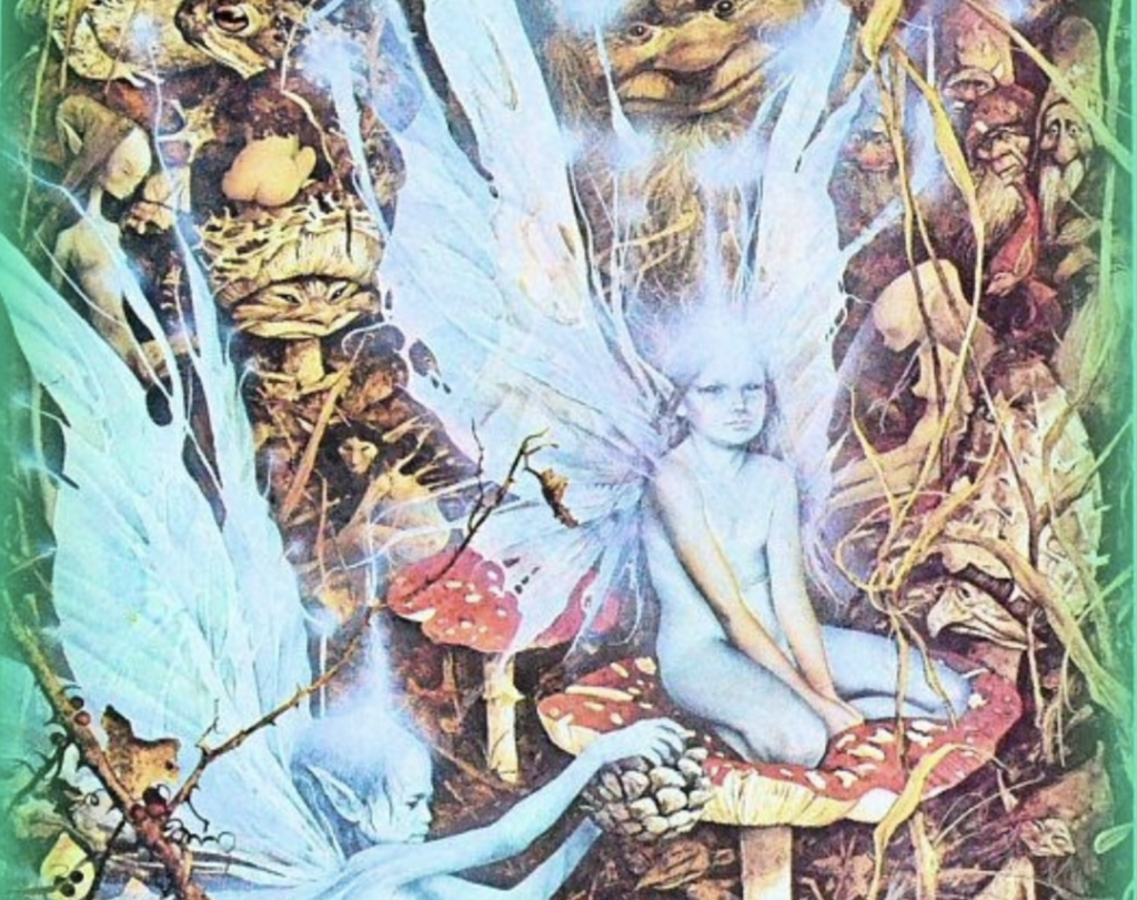 From the Fairies of Folklore to UFOs: The Fascinating Story of The Secret Commonwealth - The Brehon Academy