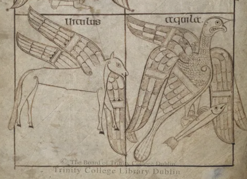You are currently viewing Maguires ‘Son of the Stewards’ – Protectors of the Book of Armagh