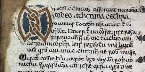 Read more about the article Exploring Bretha Nemed or the “Judgments of the Privileged”: A Window into Early Irish Legal Tradition