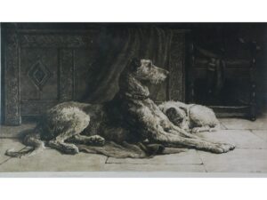 Read more about the article The Irish Wolfhound: A Majestic Breed Steeped in History and Legend