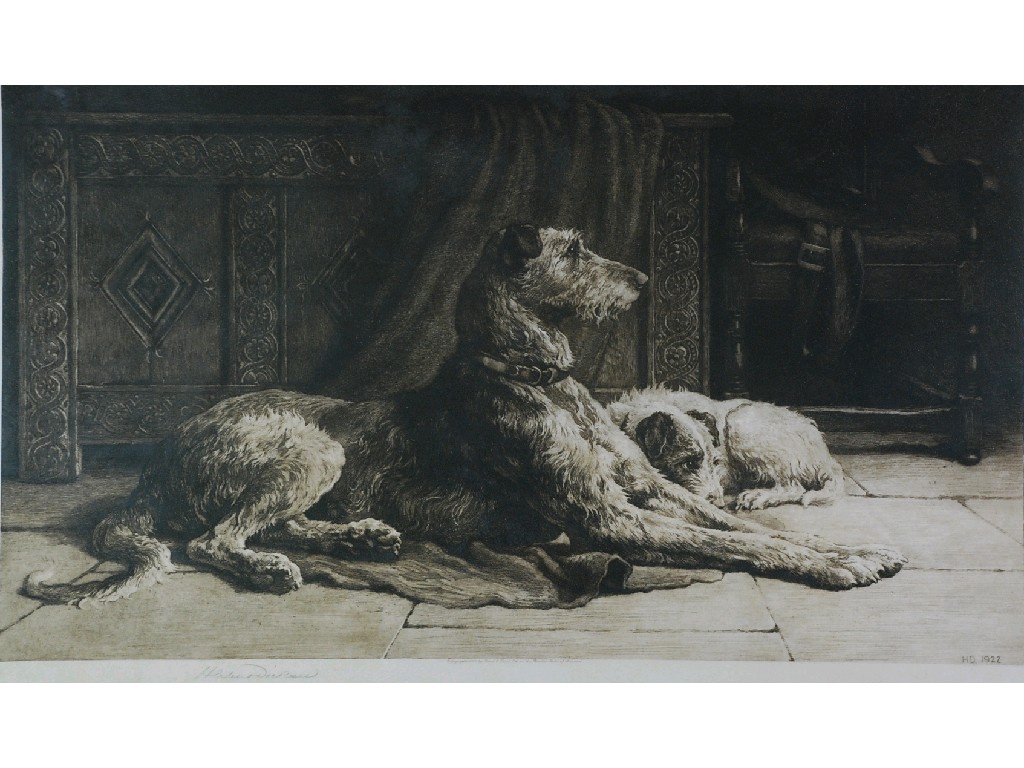You are currently viewing The Irish Wolfhound: A Majestic Breed Steeped in History and Legend