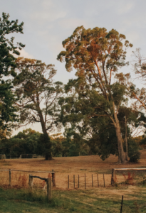 Read more about the article The Breath Between Worlds – Part VII