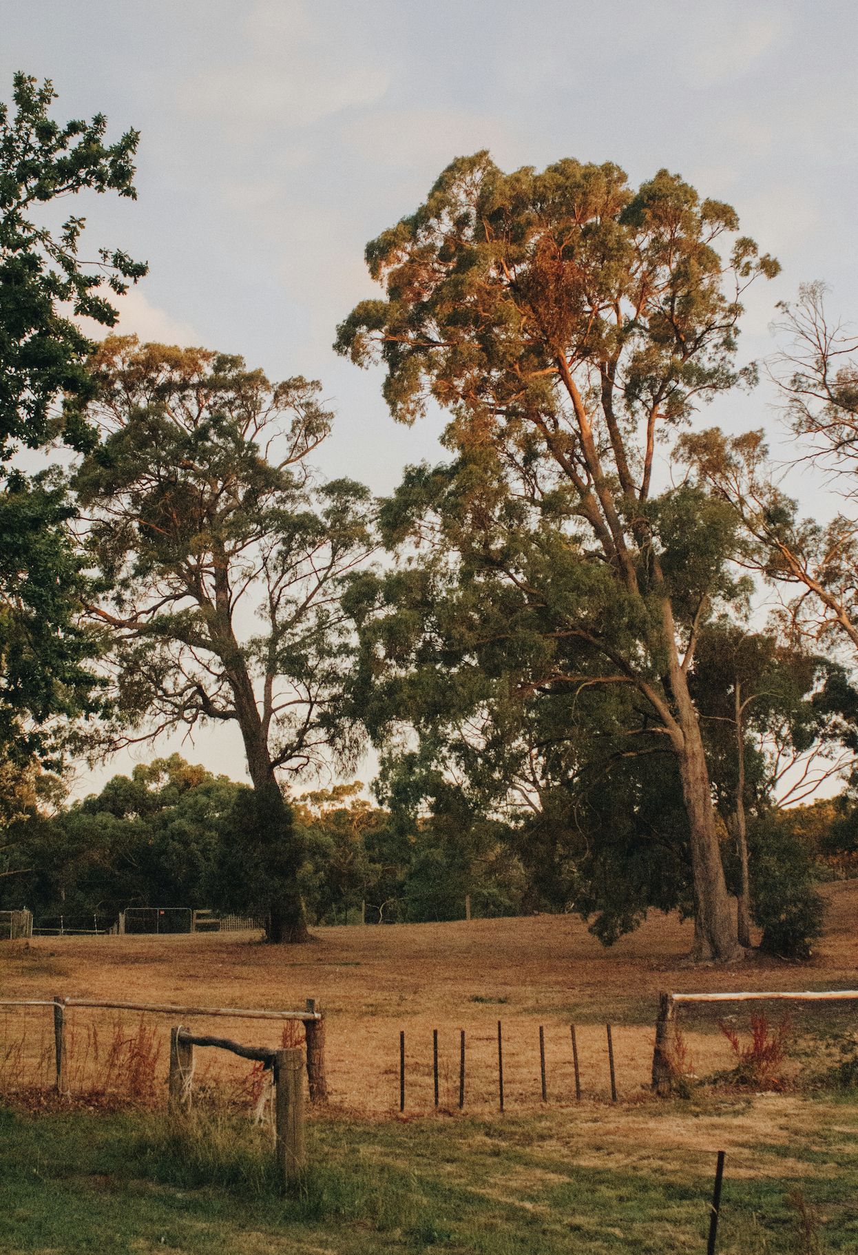 You are currently viewing The Breath Between Worlds – Part VII