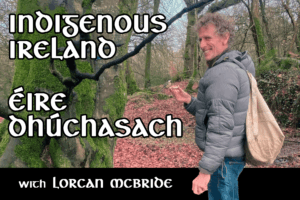Read more about the article Is it Possible to be Indigenous in Ireland Today? A Conversation with Lorcan MacBride