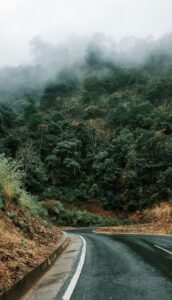 Read more about the article Dreaming the Law — Living Law Part VIII