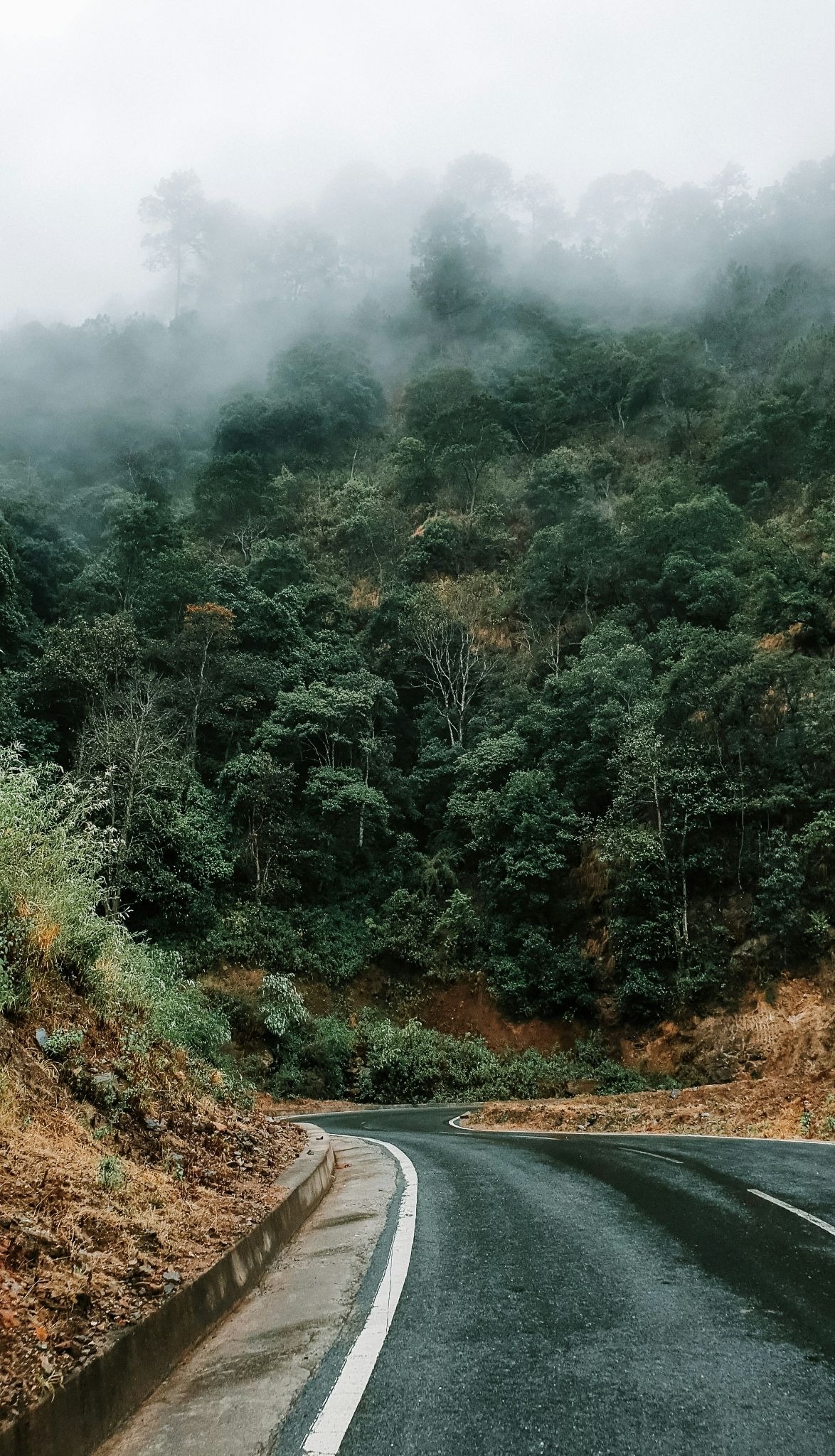 You are currently viewing Dreaming the Law — Living Law Part VIII