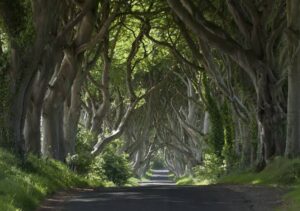 Read more about the article The “Hidden Ireland” of Daniel Corkery