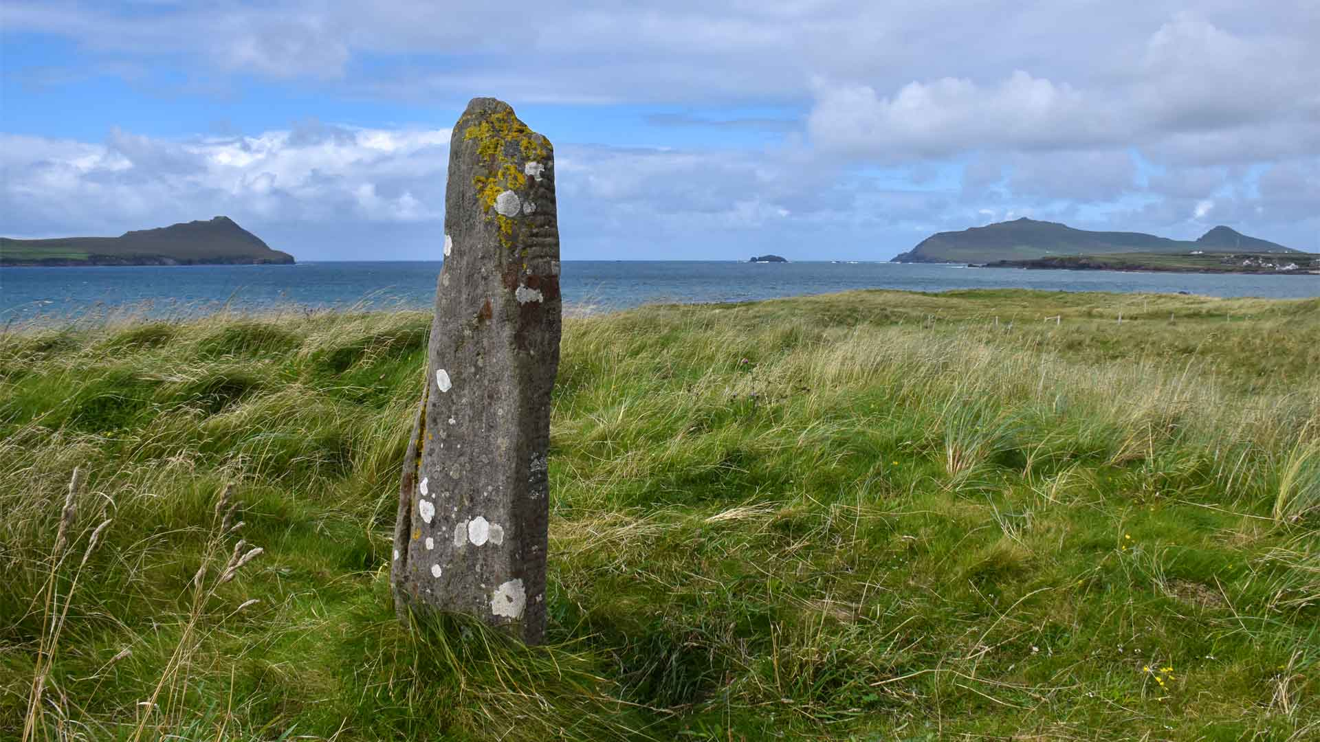 You are currently viewing The Language of the Woods: Everything You Need to Know About Ogham, Ireland’s Ancient Tree Alphabet